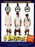 Affiche de Trois amigos, film à voir en streaming sur Pygargue