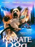 Affiche de Karaté Dog, film à voir en streaming sur Pygargue
