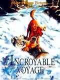 Affiche de L'Incroyable Voyage, film à voir en streaming sur Pygargue