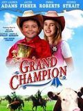 Affiche de Grand Champion, film à voir en streaming sur Pygargue