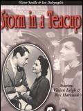 Affiche de Storm in a tea cup, film à voir en streaming sur Pygargue