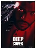 Affiche de Dernière limite, film à voir en streaming sur Pygargue