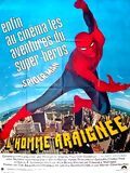 Affiche de L'Homme araignée, film à voir en streaming sur Pygargue