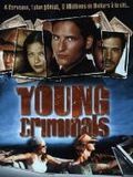 Affiche de Young Criminals, film à voir en streaming sur Pygargue