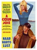Affiche de A coeur joie, film à voir en streaming sur Pygargue