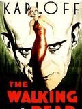 Affiche de Le Mort qui marche, film à voir en streaming sur Pygargue