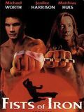 Affiche de Fists of Iron, film à voir en streaming sur Pygargue
