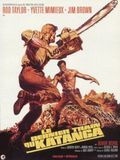 Affiche de Le Dernier Train du Katanga, film à voir en streaming sur Pygargue
