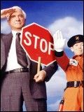 Affiche de Le Héros de la patrouille, film à voir en streaming sur Pygargue