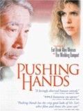 Affiche de Pousser les mains, film à voir en streaming sur Pygargue