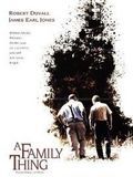Affiche de La couleur du destin, film à voir en streaming sur Pygargue