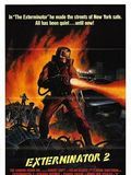 Affiche de Exterminator II, film à voir en streaming sur Pygargue