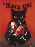 Affiche de Le Chat Noir, film à voir en streaming sur Pygargue