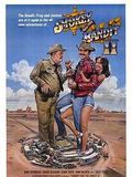 Affiche de Tu fais pas le poids shérif !, film à voir en streaming sur Pygargue