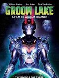 Affiche de Groom lake, film à voir en streaming sur Pygargue