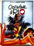 Affiche de C'est La faute à Rio, film à voir en streaming sur Pygargue