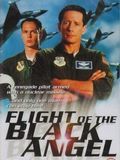 Affiche de Flight of Black Angel, film à voir en streaming sur Pygargue