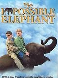 Affiche de Un éléphant à la maison, film à voir en streaming sur Pygargue