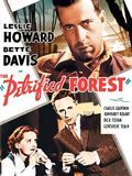 Affiche de La Forêt pétrifiée, film à voir en streaming sur Pygargue