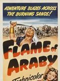 Affiche de Les Frères Barberousse, film à voir en streaming sur Pygargue