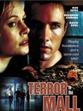 Affiche de Déluge infernal, film à voir en streaming sur Pygargue