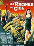 Affiche de Les Racines du ciel, film à voir en streaming sur Pygargue