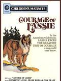 Affiche de Le Courage de Lassie, film à voir en streaming sur Pygargue