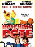 Affiche de Un costume pour deux, film à voir en streaming sur Pygargue