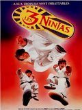 Affiche de Les 3 ninjas se révoltent, film à voir en streaming sur Pygargue