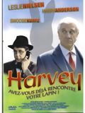 Affiche de À chacun son fantôme, film à voir en streaming sur Pygargue