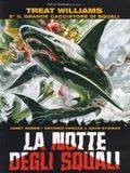 Affiche de La Nuit Des Requins, film à voir en streaming sur Pygargue