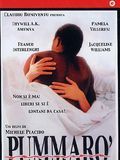 Affiche de Pummaro, film à voir en streaming sur Pygargue
