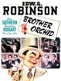Affiche de Brother Orchid, film à voir en streaming sur Pygargue