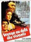 Affiche de Voyage au-delà des vivants, film à voir en streaming sur Pygargue