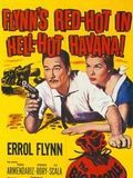 Affiche de Trafic à la Havane, film à voir en streaming sur Pygargue