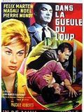 Affiche de Dans la gueule du loup, film à voir en streaming sur Pygargue