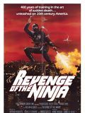 Affiche de Ultime Violence - Ninja 2, film à voir en streaming sur Pygargue