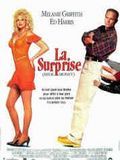 Affiche de La Surprise, film à voir en streaming sur Pygargue