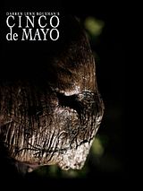 Affiche de Cinco De Mayo: La batalla, film à voir en streaming sur Pygargue