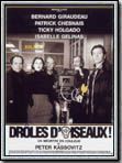 Affiche de Drôles d'oiseaux !, film à voir en streaming sur Pygargue