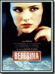 Affiche de Berezina ou les Derniers Jours de la Suisse, film à voir en streaming sur Pygargue