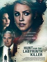 Affiche de Le labyrinthe de l'injustice, film à voir en streaming sur Pygargue