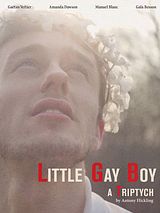 Affiche de Little Gay Boy, film à voir en streaming sur Pygargue