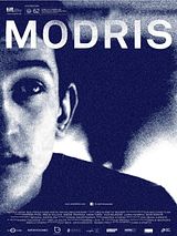 Affiche de Modris : Pari d'avenir, film à voir en streaming sur Pygargue