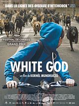 poster du film White God