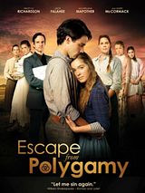 Affiche de Dans l'enfer de la polygamie, film à voir en streaming sur Pygargue