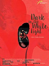 Affiche de Dark in the White Light, film à voir en streaming sur Pygargue