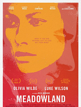Affiche de Dans la brume du soir, film à voir en streaming sur Pygargue