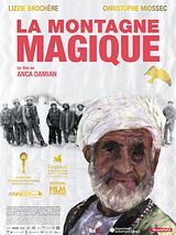 Affiche de La montagne magique, film à voir en streaming sur Pygargue
