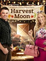 Affiche de Coup de foudre à Harvest Moon, film à voir en streaming sur Pygargue
